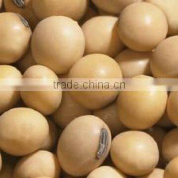 Food Grade Soy Bean Oil photo-5