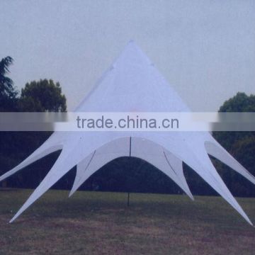 10*10*3.8m Top Quality Party Tent with Promotions