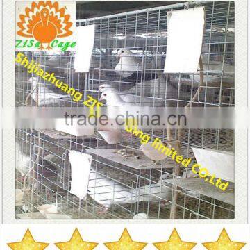 zisa high quality hot dip galvanized pigeon dove cage suppiler price