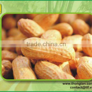 Peanut supplier, export demand