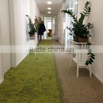 Apartment corridor carpet hallway carpet