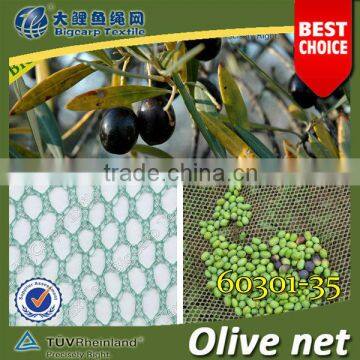 (factory)Olive harvesting Nets for Agriculture 35GSM ( 60301-35)