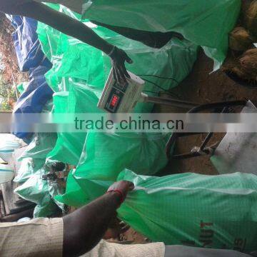 Dry Coconuts photo-4