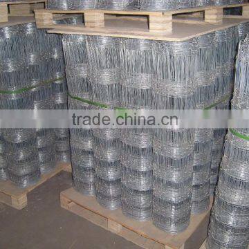 Galvanized Welded Wire Mesh