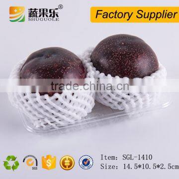 Tray Type and Blister Process Type disposable fruit tray