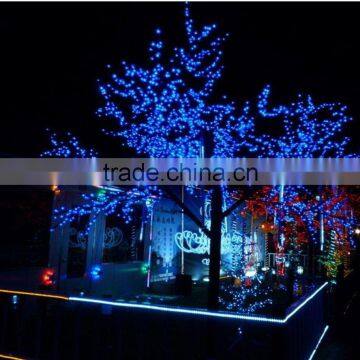 Led Christmas Lights Wholesale photo-5
