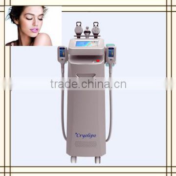 50 / 60Hz 2016 Best Cryolipolysis Slimming Instruments/cryolipolysis Weight Reducing Machine For Beauty Spa Salon Hospital Fat Freezing