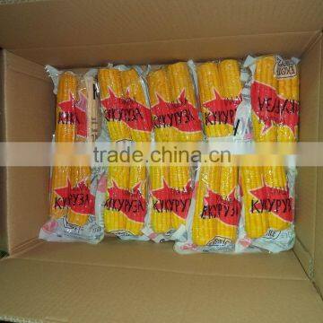 High Quality Sweet Corn Cob in Vacuum Wholesale Snack Foods photo-2