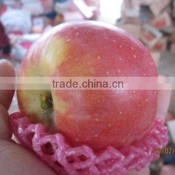 2012 Fuji Apple of China