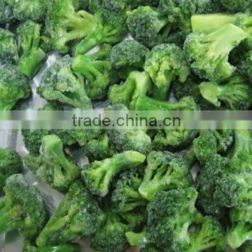 IQF frozen vegetable broccoli in carton