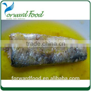 crude sardine fish in oil