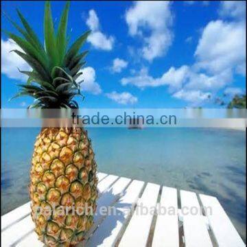 Natural and Healthy Chips Snacks photo-4