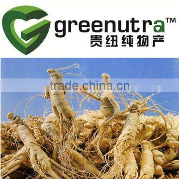 Ginseng Root