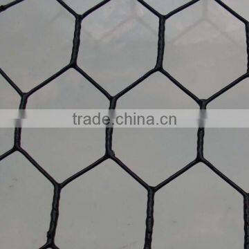 PVC Coated Hexagonal Chicken Wire Mesh Netting photo-5