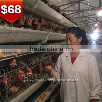 TA NO.1 Free Sample Automatic Design Metal Quail Cage