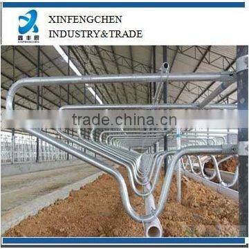 Hot dipped galvanized cow dairy farming equipment