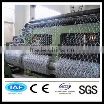 hexagonal wire mesh