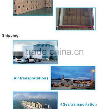 Plastic High Quality Hand Mini Trigger Sprayer photo-6