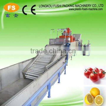 Fruit Washing and Waxing Machine photo-4