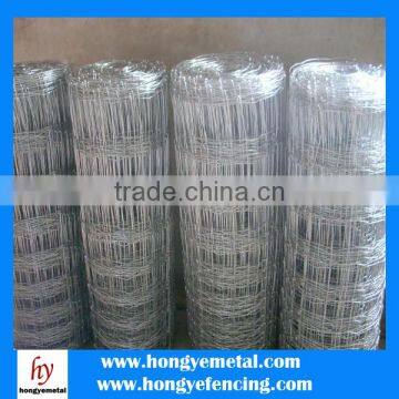 Woven Wire Fence/Goat Sheep Fence/Cattle Field Fence photo-2