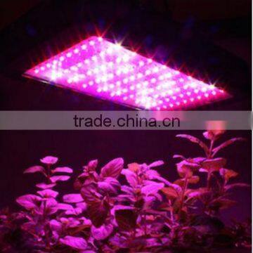 Full Spectrum LED Grow Light for Plants Grow Light For Hydro Plant Growth photo-2