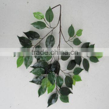 SJ071201 High Initation Ficus Tree Leaves With UV Protection photo-5