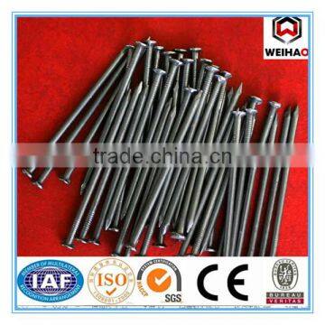 Common Nail/Polished Nail/ Wholesale Factory