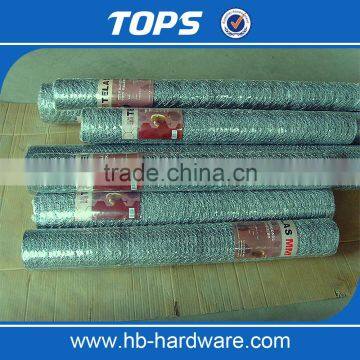 Hexagonal Wire Mesh Fence Netting/chicken Wire/hexagonal Gabion( Best Quality , Low Price , Factory or Manufacturer )