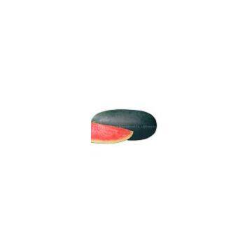 Sell Balck Beauty type watermelon seeds 1119