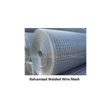 Galvanized Welded Wire Mesh