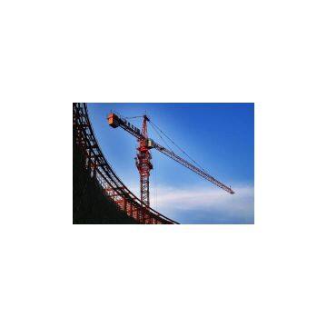 Hot Sale Approved CE, GOST, ISO Certificate QTZ Tower Crane in India