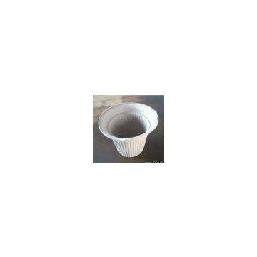 Flower Pot