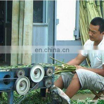 0.5% Damage Rate Weeping Willow Branch Scaling/Peel Machine/Peeler photo-5