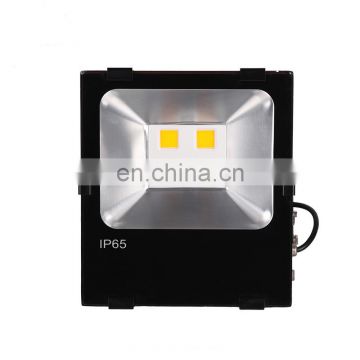 MIC motion detect floodlight camera 200w