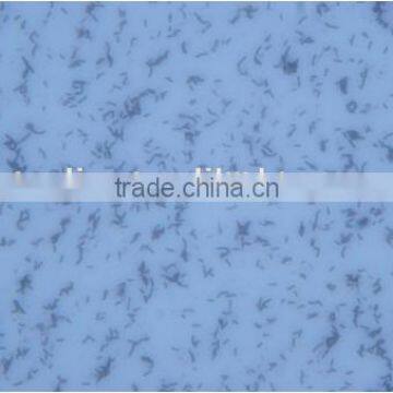 Bacterial Slides , Microbial Slides photo-5