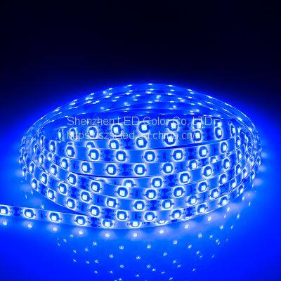 High Quality Cheap Price LC3528 60 Pixel /m IP 20 4.8w/m DC12V Blue Color Addressable Led Strip Light photo-5