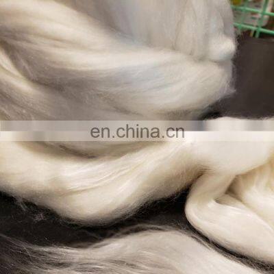 Sheep types of Cashmere Ltd in Mongolia