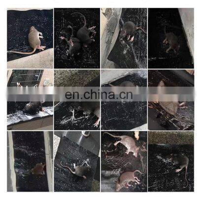 High Quality Wholesale Rat Killing Products Sticky Mouse Glue Trap Mouse Repeller Rat Catching for Animal Control Use 3 Years