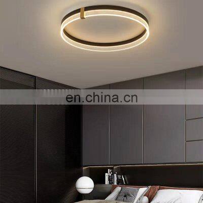 Minimalist New Design LED Ceiling Light For Bedroom Study Living Room Nordic Luxury Creative Mounted Lamp