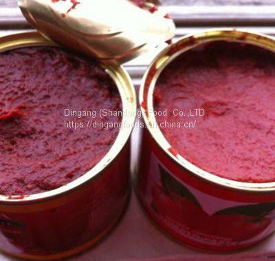 Tomato Paste photo-3