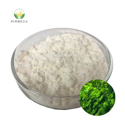 High Quality Factory Price Brown Seaweed Brown Algae Extract Powder 95% Fucoidan