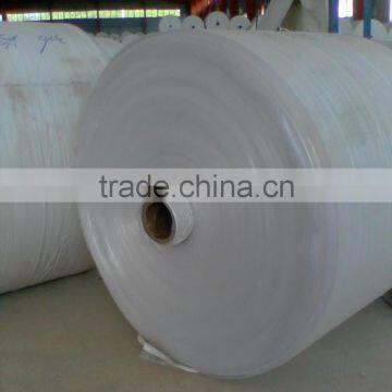 2016 white color new material PP woven fabric Roll