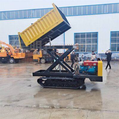 Paddy Field Crawler Transporter, 3-ton Rubber Crawler Transport Vehicle, Gecko Crawler Loader