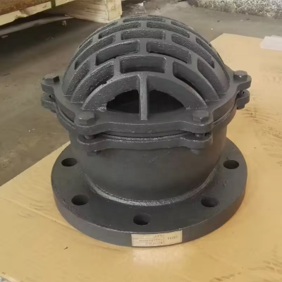BS/DIN DN100 PN16 Cast Iron/Ductile Iron GG25 GGG50 Foot Valve Flange/Thread Foot Valve Factory photo-6