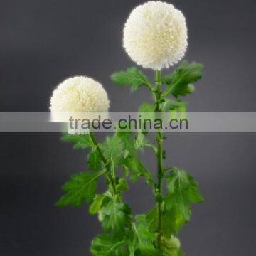 Super quality new products chrysanthemum wedding flowers