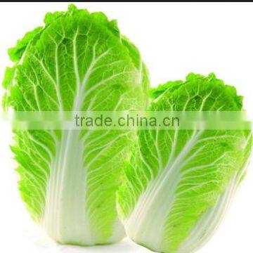 Jiuying New Design and Easy Operate Vegetable Dryer photo-2