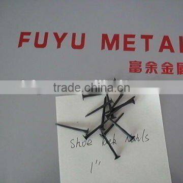 hot saled shoe tack nails(factory)