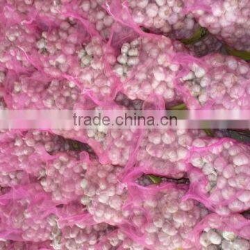 large quantity garlic,picked garlic Jinxiang garlic with new crop with super quality