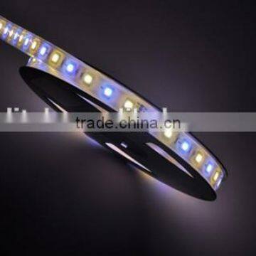 DC12V Dc24v SMD 5050 LED Strip RGBW photo-4