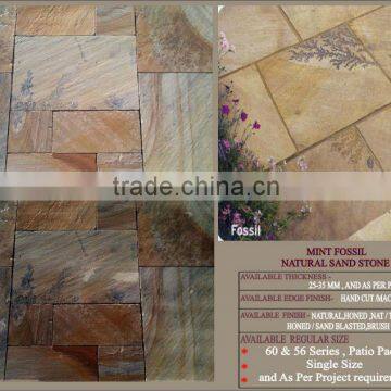Mint Fossil Natural Sandstone